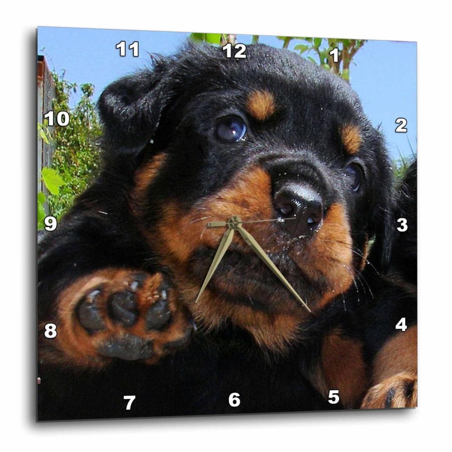 ロットワイラー 子犬 パピー 犬 ドッグ ウォールクロック 時計 wl276218904B&E ZIPANG 通販 Yahoo