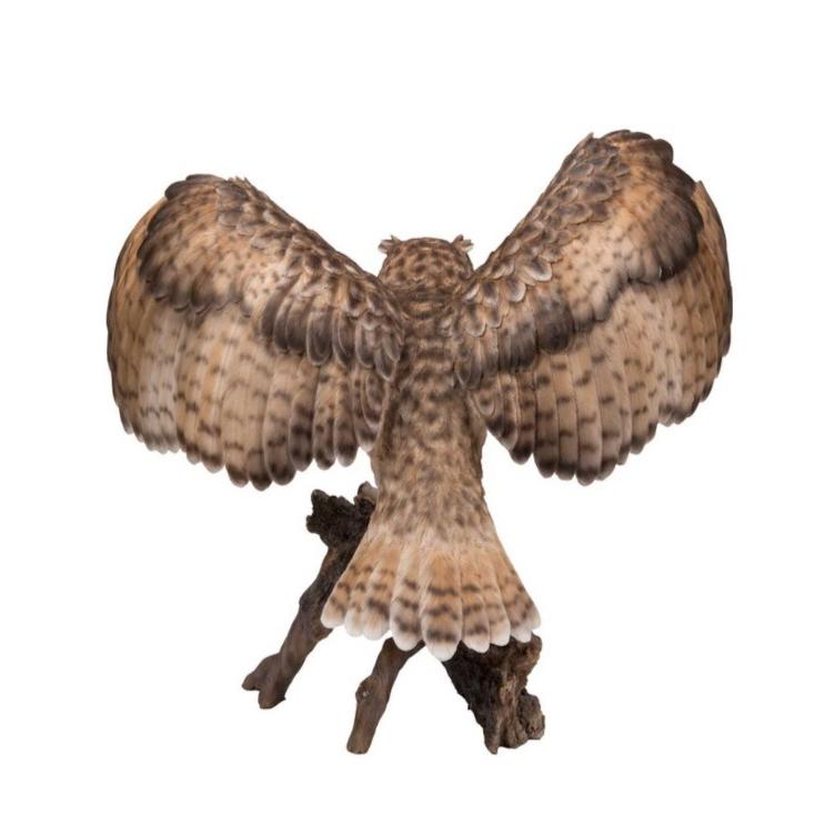 梟　オブジェセット アウトレット ワシ フクロウ オブジェ 鷲 梟 ガーデンオーナメント 鳥