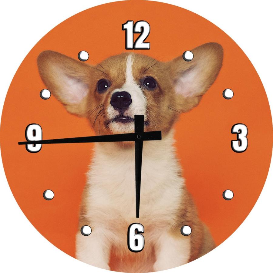 コーギー 子犬 パピー 犬 ドッグ ウォールクロック 時計 wl436643118B&E ZIPANG 通販 Yahoo!ショッピング