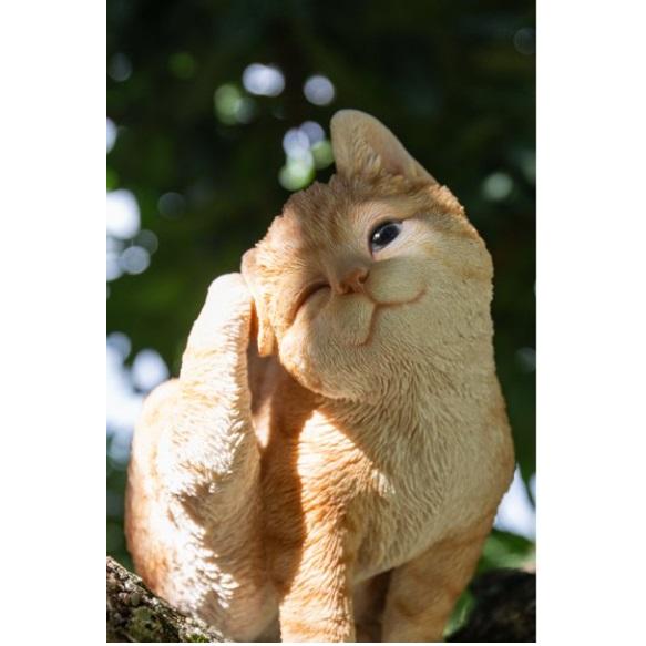 ウインクして頭を掻くとら猫 子猫 キトン インテリア 彫像 置物 ウインクして頭を掻くとら猫 子猫 キトン インテリア 彫像 置物