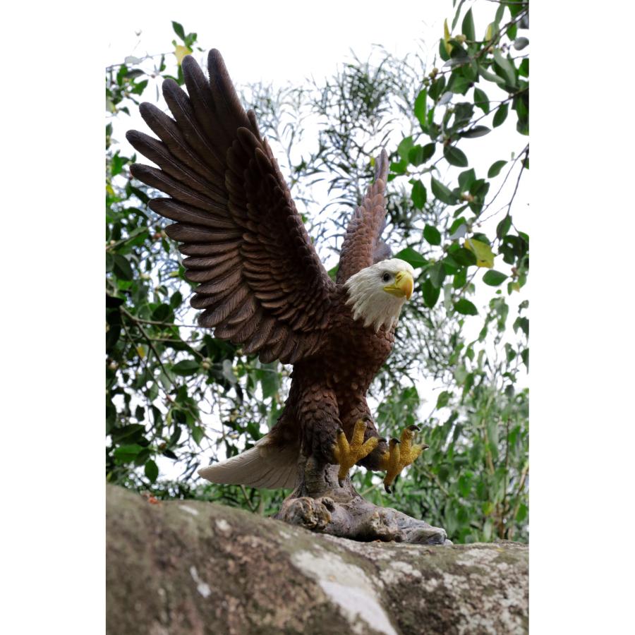 フライング イーグル 鷹 像 置物 ガーデニング 庭 Eagle : B&E フライング イーグル 鷹 像 置物 ガーデニング 庭 Eagle : B&E