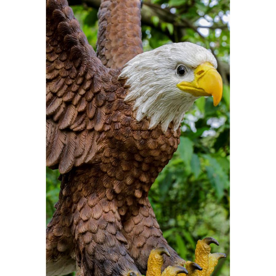 フライング イーグル 鷹 像 置物 ガーデニング 庭 Eagle : B&E フライング イーグル 鷹 像 置物 ガーデニング 庭 Eagle : B&E
