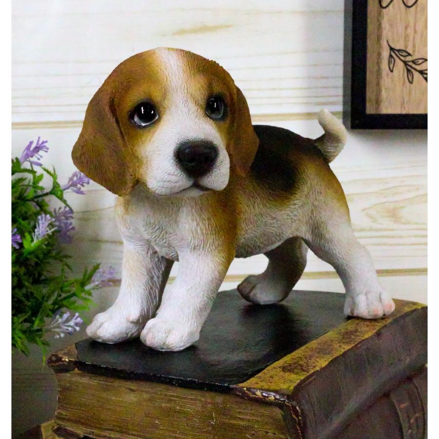 置物 彫像 ビーグル 犬 子犬 いぬ イヌ ガーデン 庭 オブジェ 置物 彫像 ビーグル 犬 子犬 いぬ イヌ ガーデン 庭 オブジェ