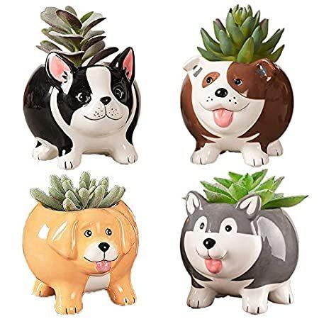 Buymax 植木鉢 動物多肉植物 鉢 ミニ犬型 多肉植物 プランター ハンドメイド プランター セラミック植物 ポット ハンドメイド フラワーサボテ B086zfxk12 海外お取り寄せエムエム かわいい犬のプランター 植物