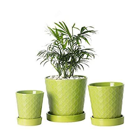 Buymax 多肉植物プランター 3インチ 4インチ 5インチ セラミックフラワーポット 排水