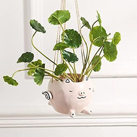 ファティービー 植木鉢 かわいいブタの動物ハンギングプランター 海外お取り寄せエムエム かわいいブタの動物ハンギングプランター B08fsm7hykならショッピング ランキングや口コミも豊富なネット通販 更にお得なpaypay残高も スマホアプリも充実で毎日どこからでも気