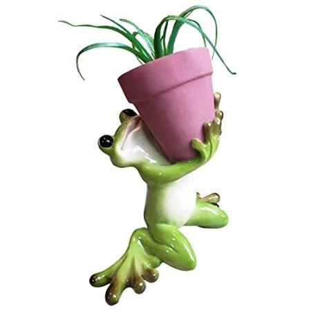 Kneeling Frog かわいい動物 多肉植物 屋内 屋内 屋外 窓 鉢 プランター デスク サボテン 窓 装飾