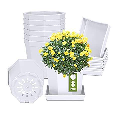Wiwoo 植物育児用ポット 8個パック 8個パック 植物育児用ポット 海外