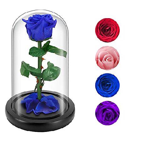 【並行輸入品】プリザーブドリアルブルーローズ ガラスドームの中の永遠のバラは永遠に 彼女/妻/母親/バレンタインデー/母の日/誕生日/記念日/装飾へのユニークなギフト (9イン
