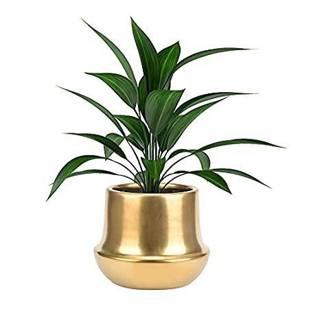 【並行輸入品】Gold Brass Planter Pots Indoor Decorative Ceramic Flower Pots 7.1 inch Gold