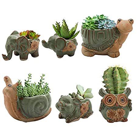 Okllen 6個パック 植木鉢 ミニ フクロウ 象 多肉植物 フクロウ 象 ポット 排水穴付き プランターセット ビンテージ セラミック かわいい動物 サボテン 多肉植物 海外お取り寄せエムエム B09dclwzz4 値引きする短納期 の