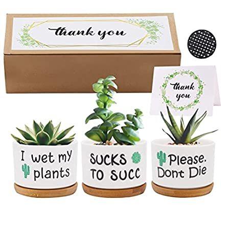 【2021秋冬新作】 Succulent Ceramic Gifts Funny Hotme Plant Presen Unique Box, Gift with Pots 植木鉢