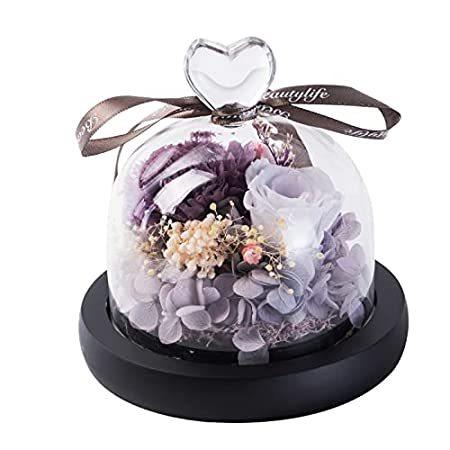 美女と野獣のバラ クリスマスデコレーション プリザーブド 本物のバラ ガラスドーム入り 魅惑的なバラの花 記念日 誕生日 結婚ギフト 彼女 妻 Www Inmera Com Ec