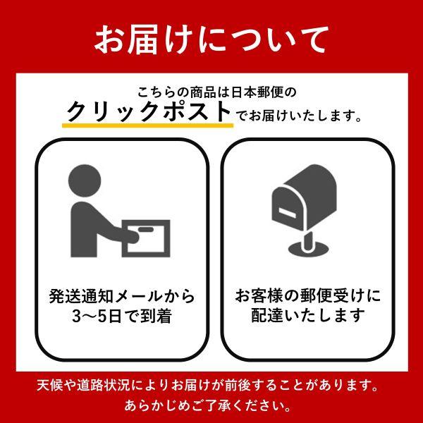 【送料無料】iPhone8/iPhone7/iPhone6/iPhoneSE3/iPhoneSE2用 シンプルデザイン 保護ケース アイフォン | iPhone 8 | 14