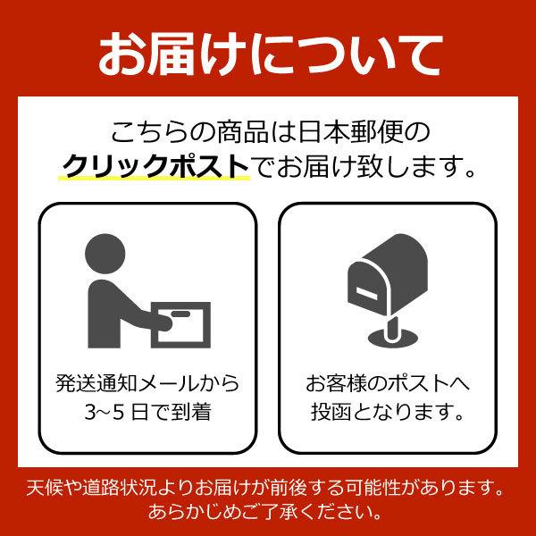 【アフターGIGAスクール対応】Lenovo レノボ TabE10 硬度９H 液晶 保護ガラス リモート学習 タブレット |  | 06