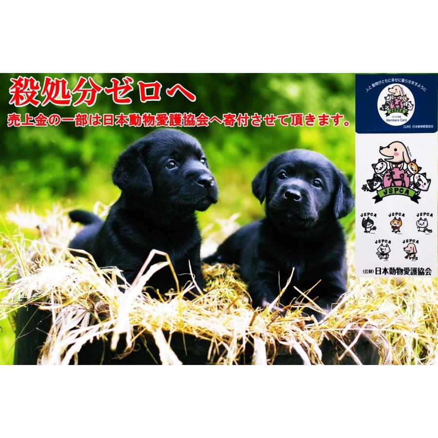 ペットドライヤー ペット用品 犬用 ネコ用 ペット用風速調節付