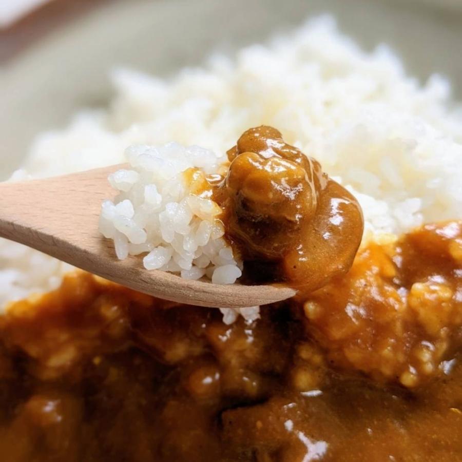 【賞味期限迫るため大セール！+今だけ贈呈！】グルテンフリーカレー2袋+ハヤシ1袋セット｜グルテンフリー検査済｜たっぷり200ｇ レトルトカレー｜bgconnection｜04