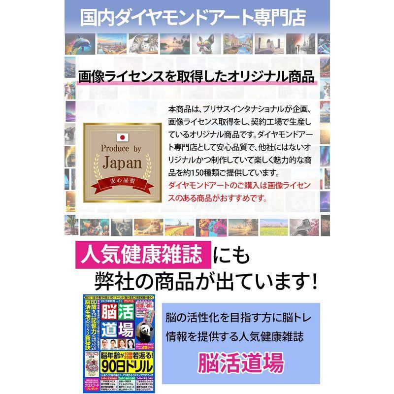 手芸時間 ダイヤモンドアート キット 犬 豪華付属品 日本企画 ライセンス取得品 150種類展開 四角 丸ビーズ ビーズ DIY 手作り 5｜bgl-store｜04