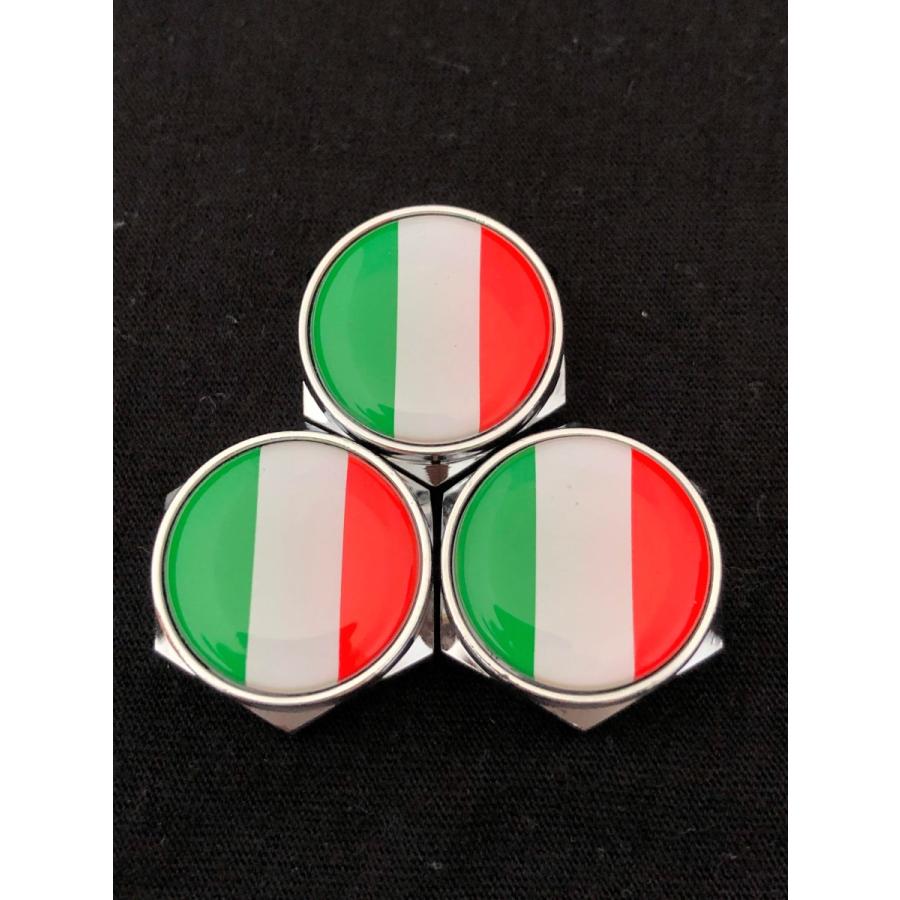 M 車検適合 イタリア 国旗 ボルト カバー ナンバー プレート 盗難抑止  