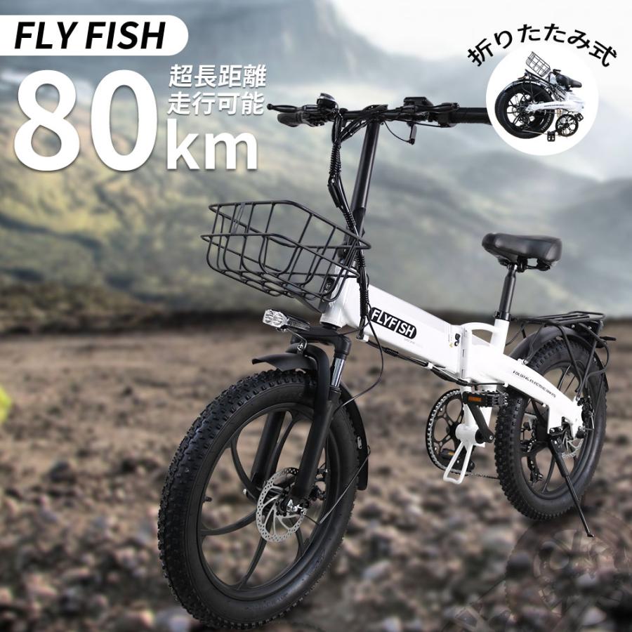 FLY FISH 電動自転車 公道走行可能 電動アシスト自転車 20インチ
