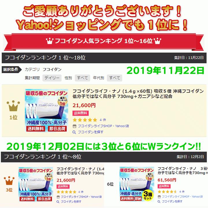 フコイダンライフ　ナノR フコイダン 吸収5〜10倍 フコイダンライフ・ナノR 1.5g×60包