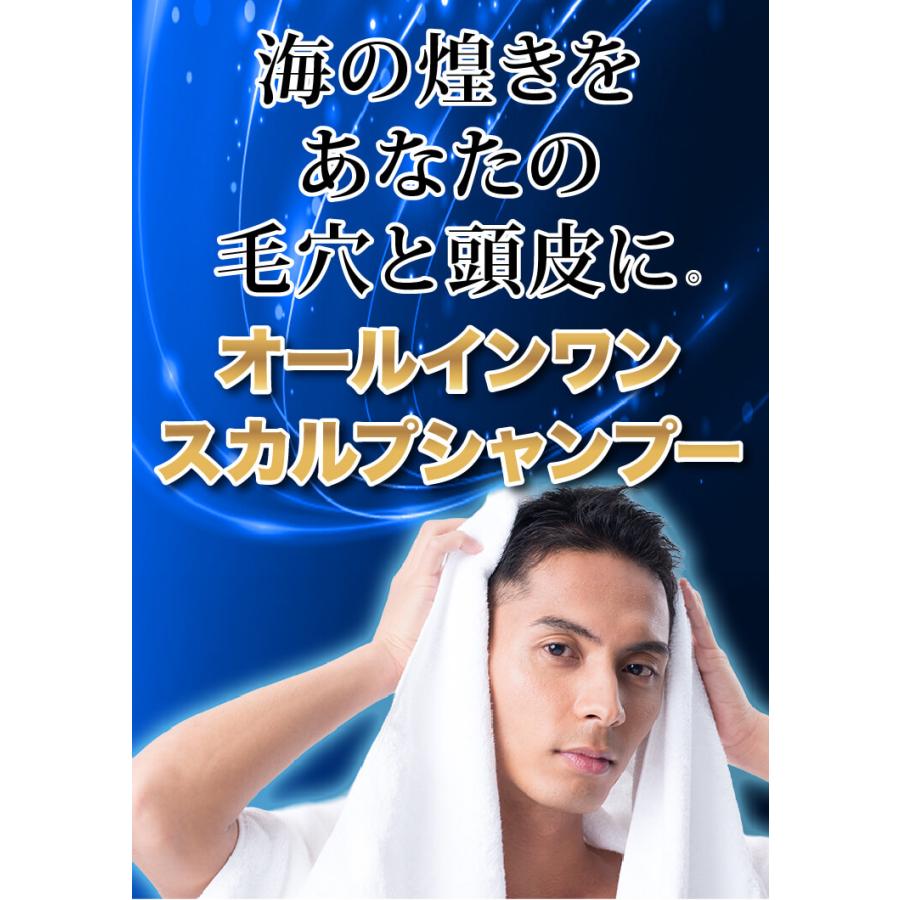フコイダン プロテオグリカン 海煌MAGICAL DEEP SHAMPOO スカルプ シャンプー ２本セットの画像