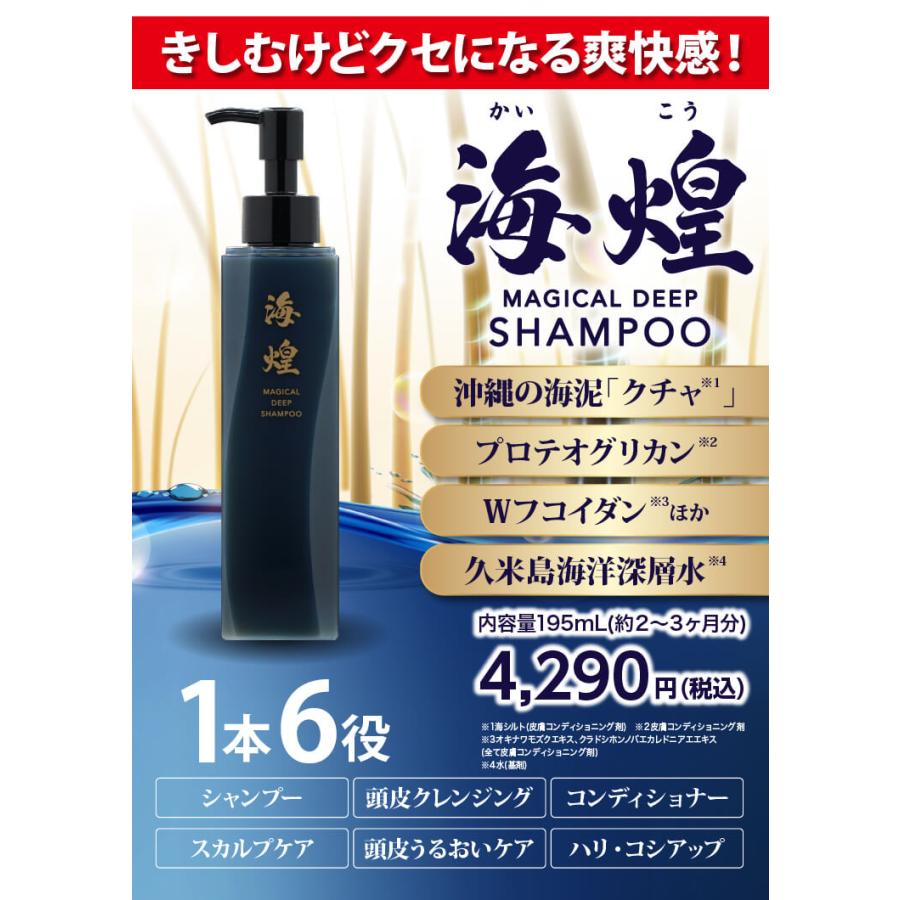 フコイダン プロテオグリカン 海煌MAGICAL DEEP SHAMPOO スカルプ シャンプー ２本セットの画像