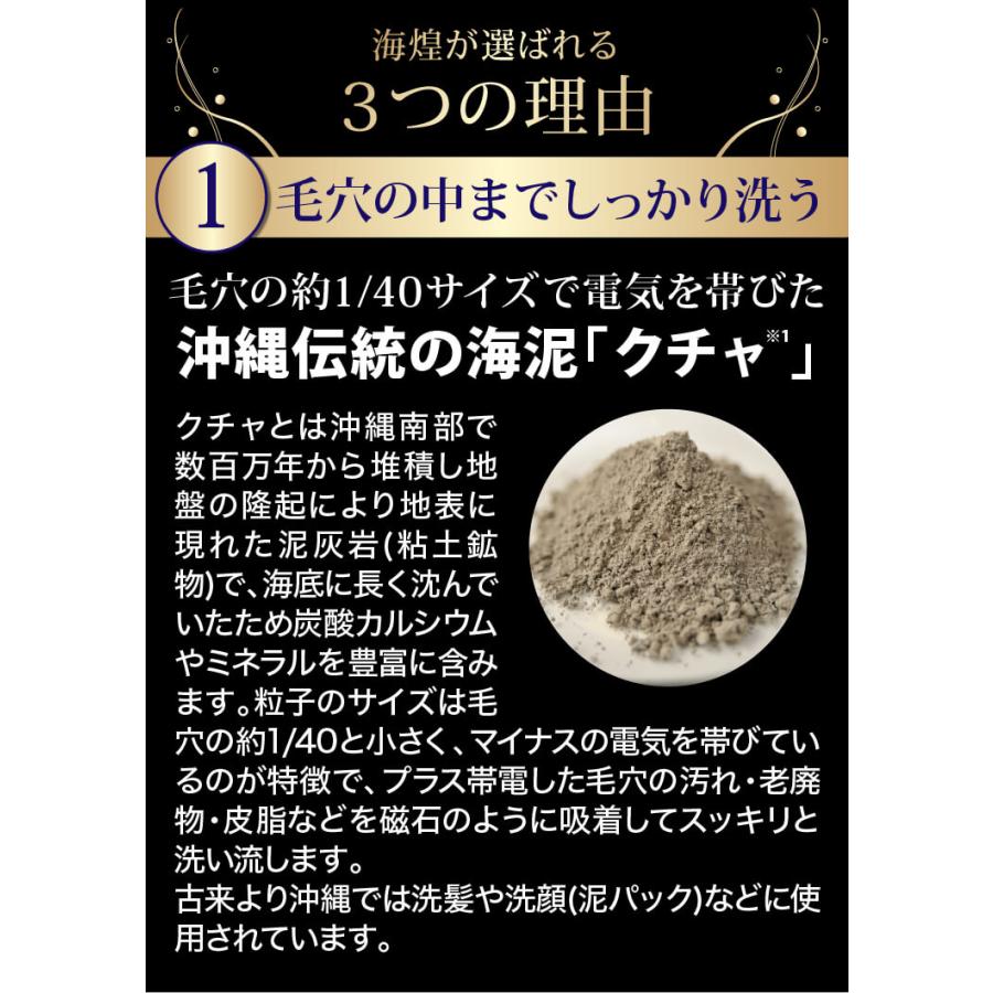 フコイダン プロテオグリカン 海煌MAGICAL DEEP SHAMPOO スカルプ シャンプー ２本セットの画像