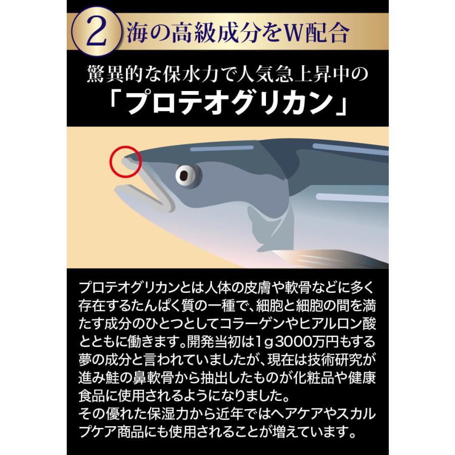 フコイダン プロテオグリカン 海煌MAGICAL DEEP SHAMPOO スカルプ シャンプー ２本セットの画像