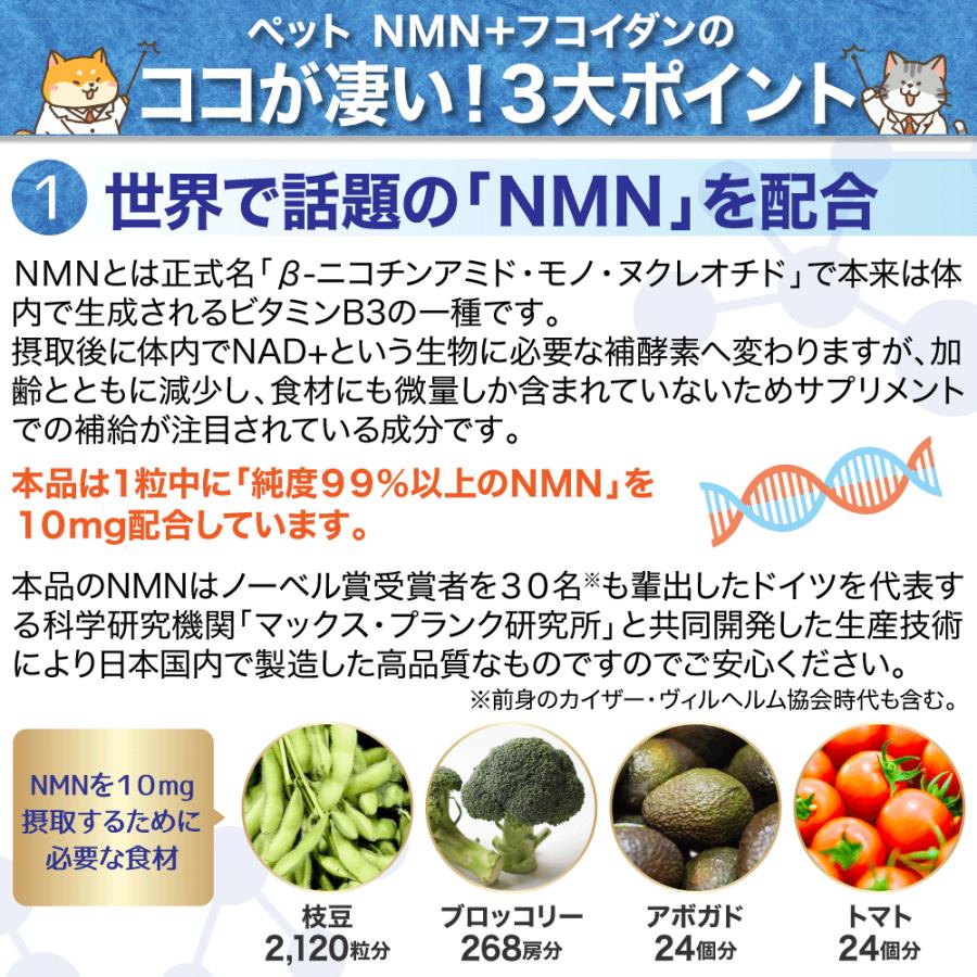 ペット NMN＋フコイダン（４袋セット） 犬 猫 NMN フコイダン ナノ型乳酸菌 アスタキサンチン クロレラ エイジングケア｜bh-labo24｜03