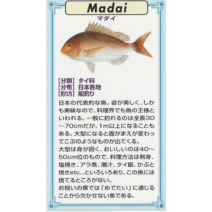 魚ピンズ マダイ 真鯛 本七宝 ビンテージ フィッシュ ピンズ Vintage