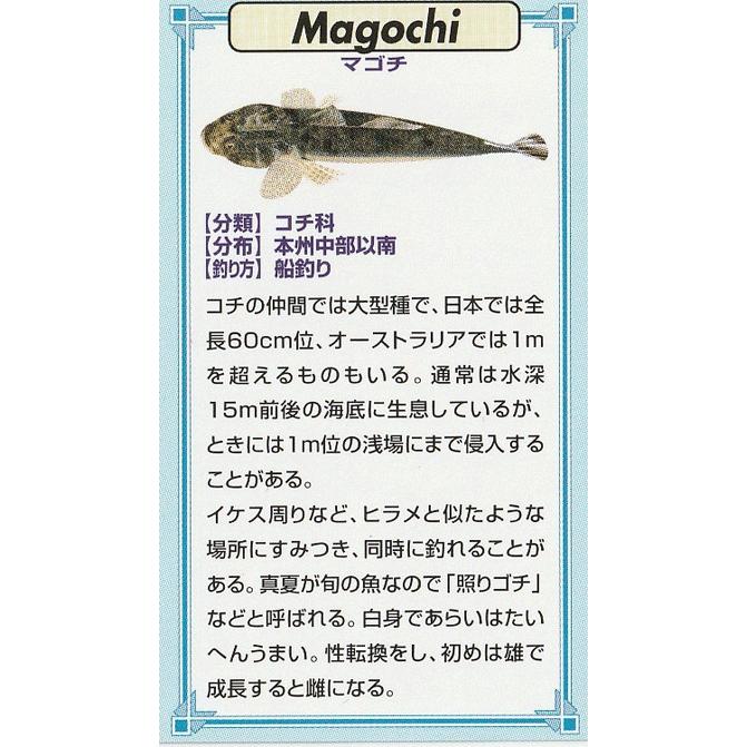 魚ピンズ マゴチ 真鯒 本七宝 ビンテージ フィッシュ ピンズ Vintage Fish Pin's 海水魚 ピンバッジ 釣り 【AZ ...