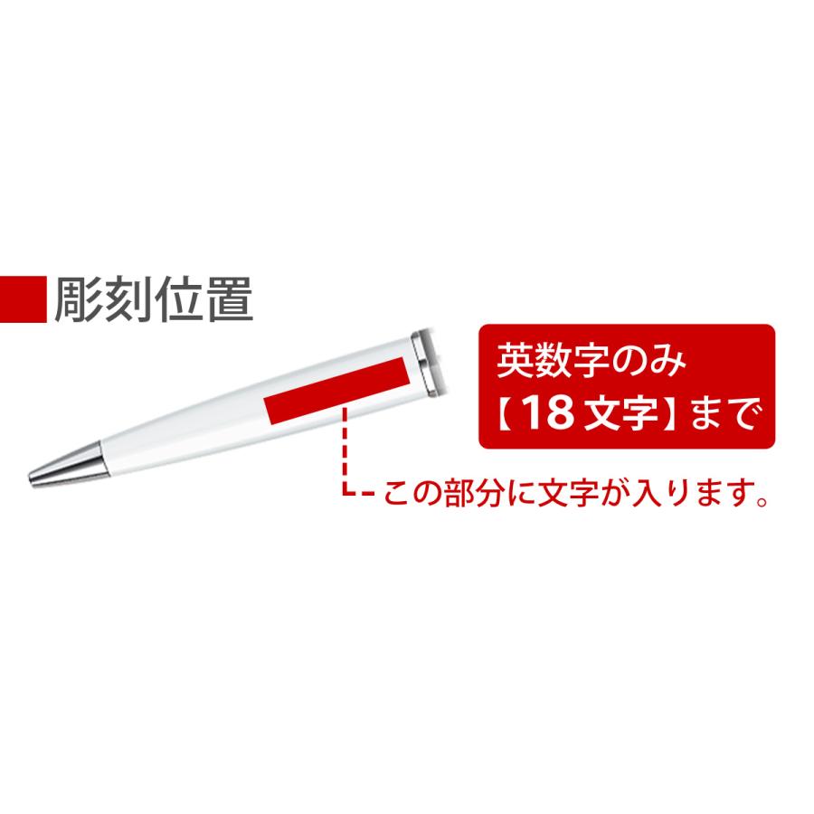 WATERMAN（ウォーターマン） S0952430 エキスパート デラックス