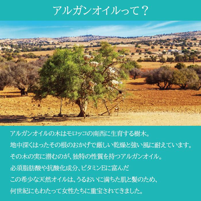 モロッカンオイル オイルトリートメント 100ml ポンプ付き 【正規販売店/公式店/送料無料】MOROCCANOIL :2040:TAYA ONLINE SHOP - 通販 - Yahoo!ショッピング モロッカンオイル オイルトリートメント 100ml ポンプ付き 【正規販売店/公式店/送料無料】MOROCCANOIL :2040:TAYA ONLINE SHOP - 通販 - Yahoo!ショッピング