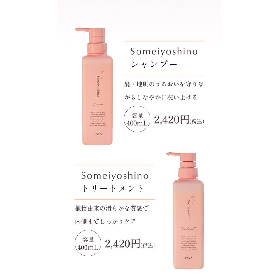 TAYA そめいよしの シャンプー トリートメント セット 各400ml 春 限定