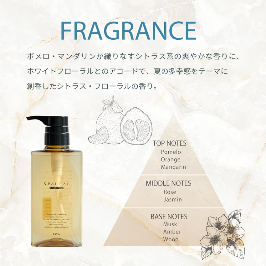 TAYA 2026 TAYA スパルゴ シャンプー&トリートメント 各400ml 夏限定