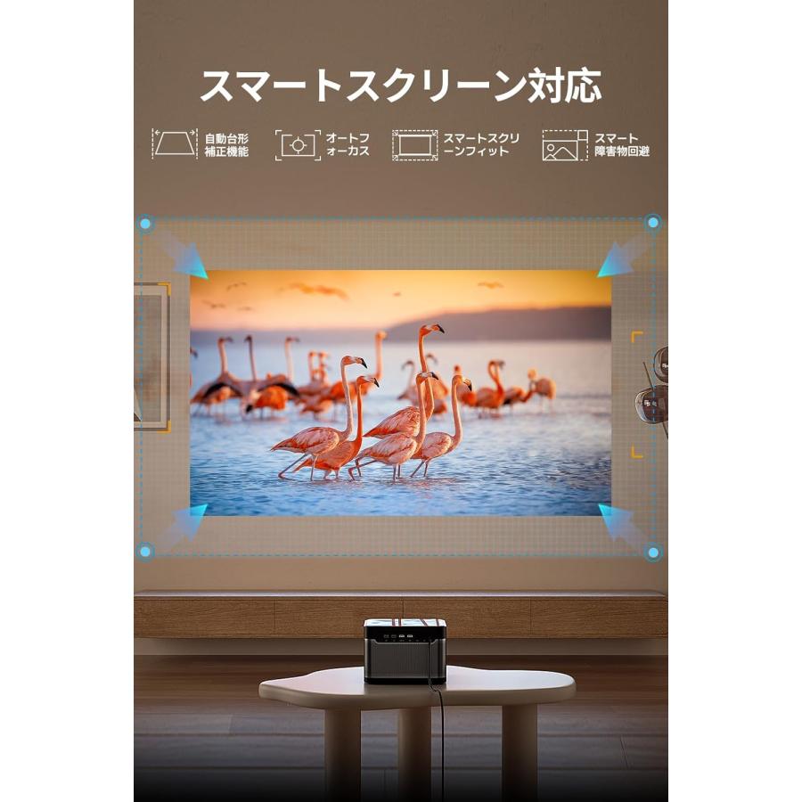 【美品】Dangbei Mars (DBOX01) ダンベイ マーズ タイトル： Dangbei （ダンベイ）Mars：シネマティック体験