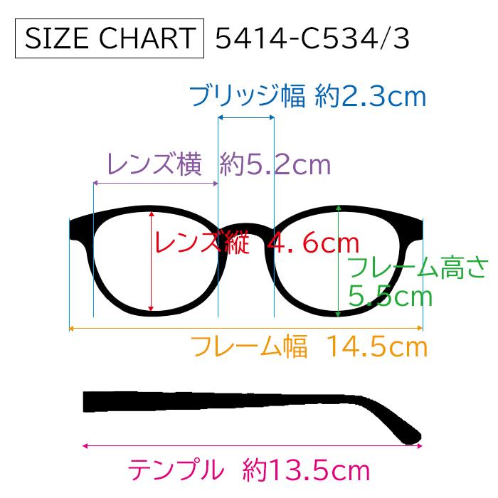 CHANEL（シャネル） バタフライ シェイプ サングラス 5414 C534/3