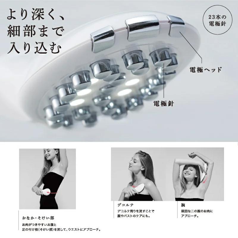 ATEX ルルド フェイスメイクエステ AX-KXL5260WH (国内正規品) : biasu