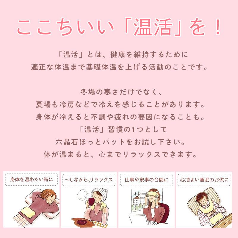 ☆3営業日以内に出荷]六晶石 ほっとパット(背中・腰・おしり用) 本体+