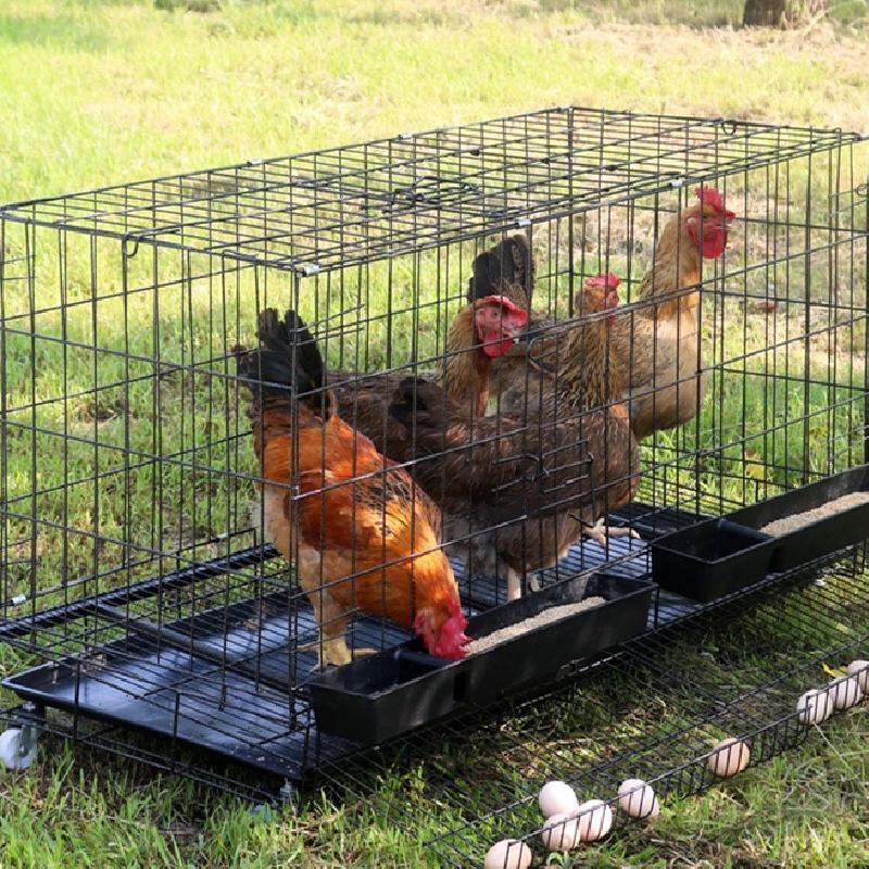 鶏小屋 チキンケージ飼育ケージ 特大世帯折りたたみ鶏小屋 自動エッグロールケージ トレー、水槽、フードボウル付き 複数のサイズ。 amp