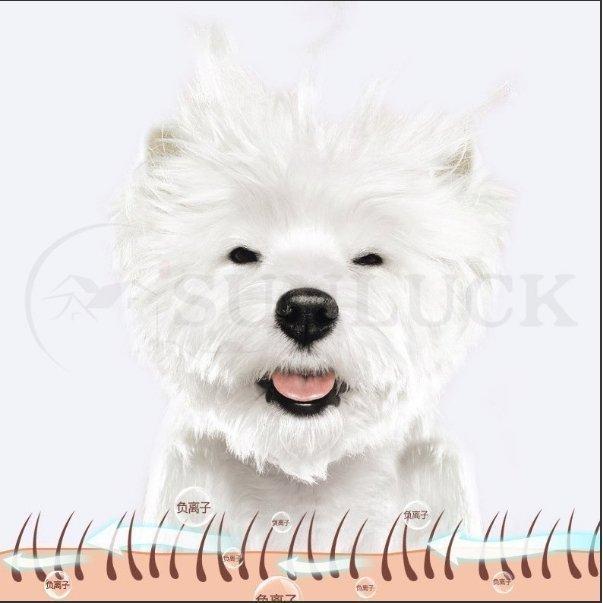 ペット乾燥箱 乾燥ハウス ドライルーム 全自動 ドライヤーを嫌がるうちの子のために 静かに乾かせる 犬 猫 完全密閉 JSB1538264446(14159円)