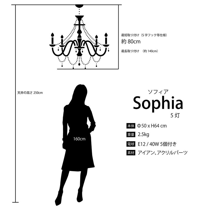 シャンデリア 照明 LED電球対応 天井照明 ノックダウン 5灯 Sophia