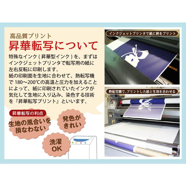 のれん　暖簾　スヌーピー  キャンプ　85×150cm　PEANUTS  日本製　｜bic-shop｜09