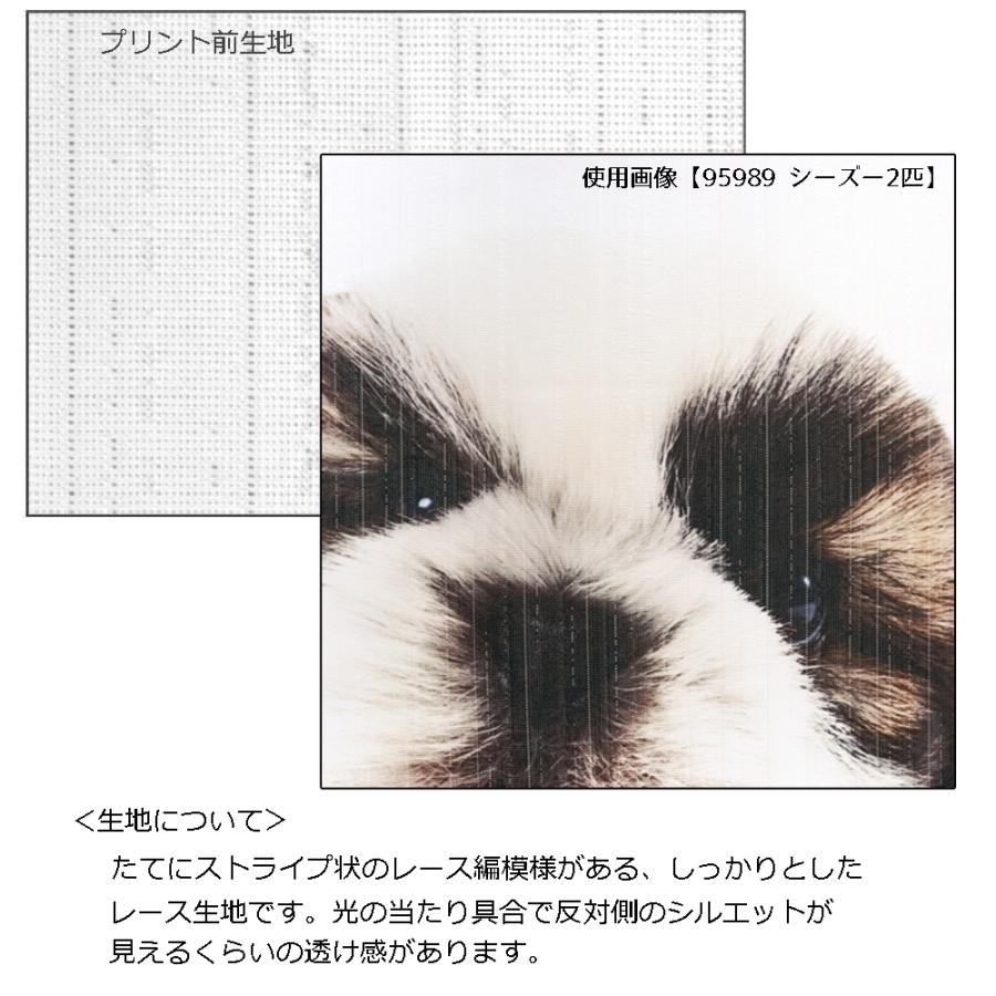 大特価 のれん 暖簾 洋風 THE DOG いぬ 犬 ダックスフンド ゴールド 85×150cm 日本製 genia.cl