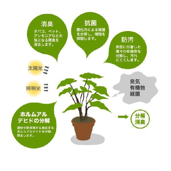 光触媒人工観葉植物ウォールグリーンフェイクグリーンスリムバウヒニア1.5