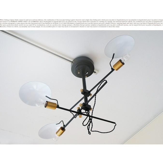 HERMOSA（ハモサ） シーリングライト ポルダー3 FP-003 : インテリア