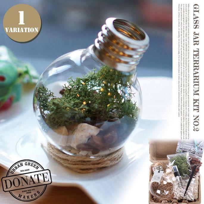 BULB TERRARIUM KIT NO,2｜bicasa