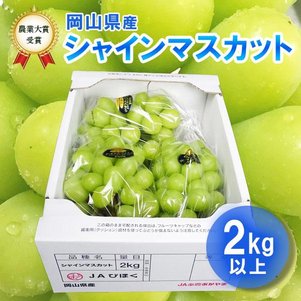 シャインマスカット 晴王 2kg 大房2〜3房 農業大賞受賞日本一の産地岡山びほく産 送料無料｜bicchu