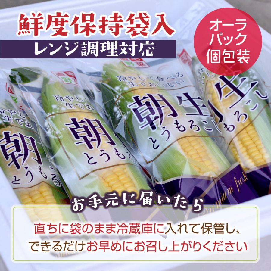 朝生とうもろこし 15本セット(鮮度保持袋入) 含水率85％以上でシャキシャキ、プリップリ! L以上 クール便 備中農園のこだわり野菜｜bichumarche｜03